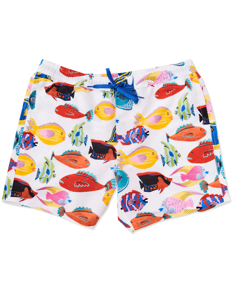 Mens Boardies Fishy Business