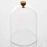 Cloche | Clear Glass